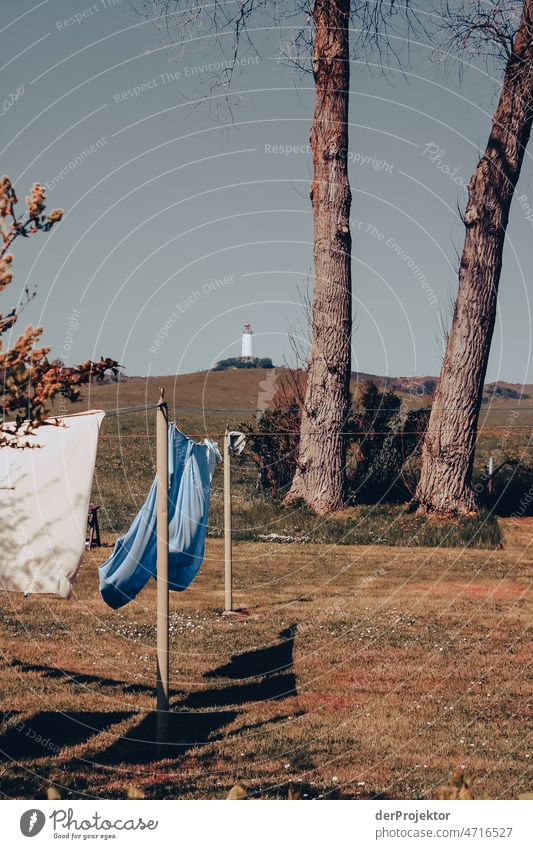 Hanging laundry on Hiddensee with lighthouse Full-length Animal portrait Panorama (View) Long shot Central perspective Deep depth of field Sunbeam Sunlight Day