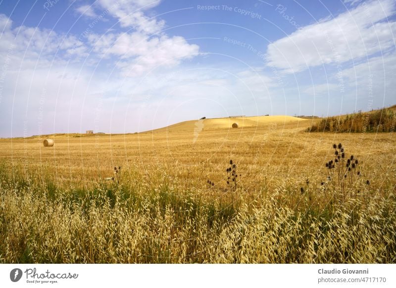 Country landscape near Matera and Gravina di Puglia Basilicata Europe Italy agriculture bale color country day field nature outdoor photography road rural