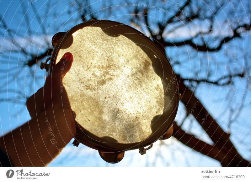 Pandeiro in FRühling Drum set Branch Tree holidays folk Folklore spring Spring spring awakening Garden domestic music Sky Wood allotment Garden allotments