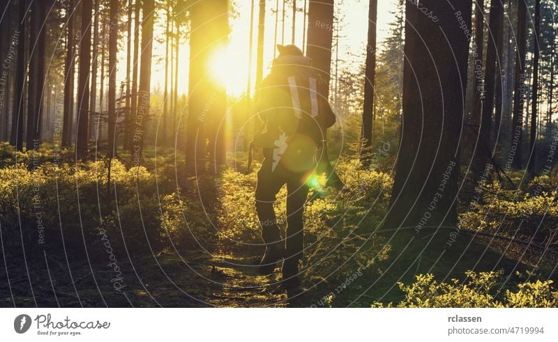 Traveler man walking alonein the woods- Travel Lifestyle emotional concept forest nature landscape spring sun sunlight tree summer needlewood idyllic