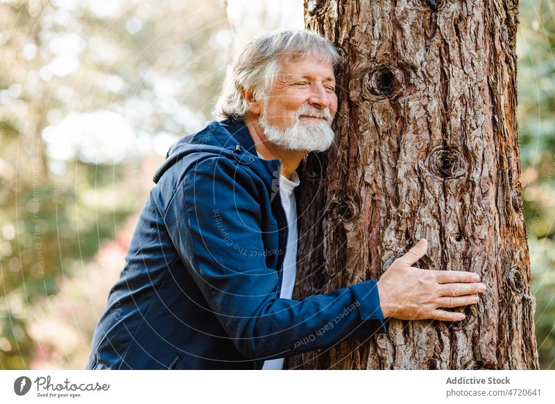 Satisfied elderly male hugging tree in forest man eyes closed embrace nature autumn calm harmony senior aged countryside pensioner season woods environment