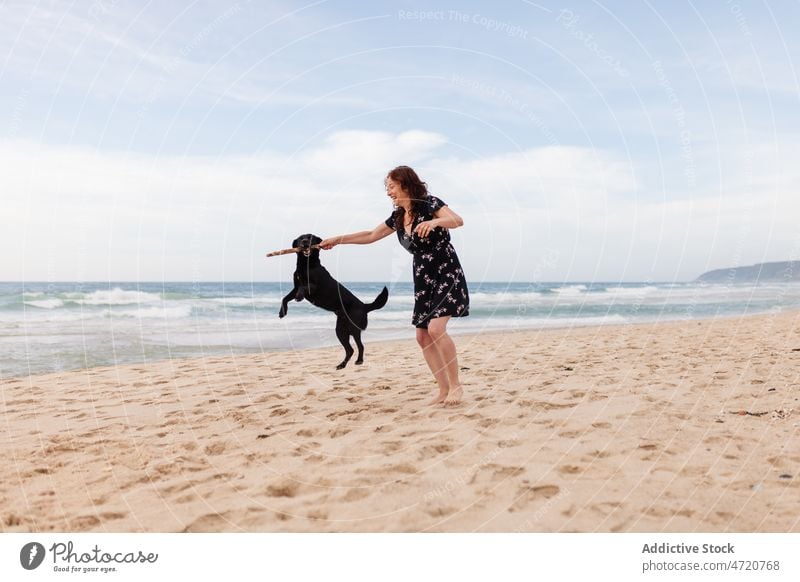 Optimistic woman playing with dog on shore sea having fun pet beach pastime game stick trip recreation animal tourist freedom playful resort seashore rest sand