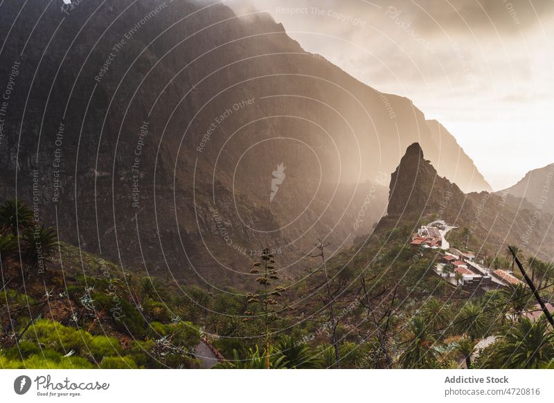 Mountainous area in Canary Islands mountain nature grow plant ridge spain canary island tenerife grass scenic vegetate summer terrain flora growth greenery