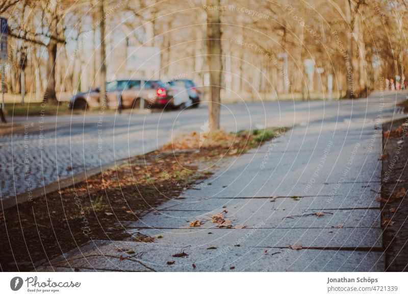 Footpath with paving slabs in winter Paving tiles Winter Autumn vintage movie Retro Analog Roadside Asphalt Gray Empty urban Pavement Edge of the forest Street