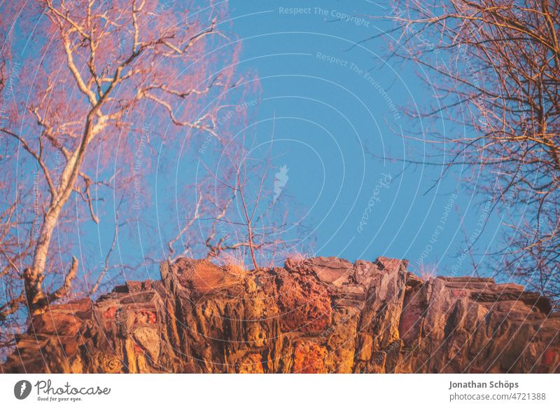 Stone gate from frog perspective with blue sky in evening sun Stone wall Wall (barrier) stones Worm's-eye view Sky Blue sky Autumn Winter Evening sun trees