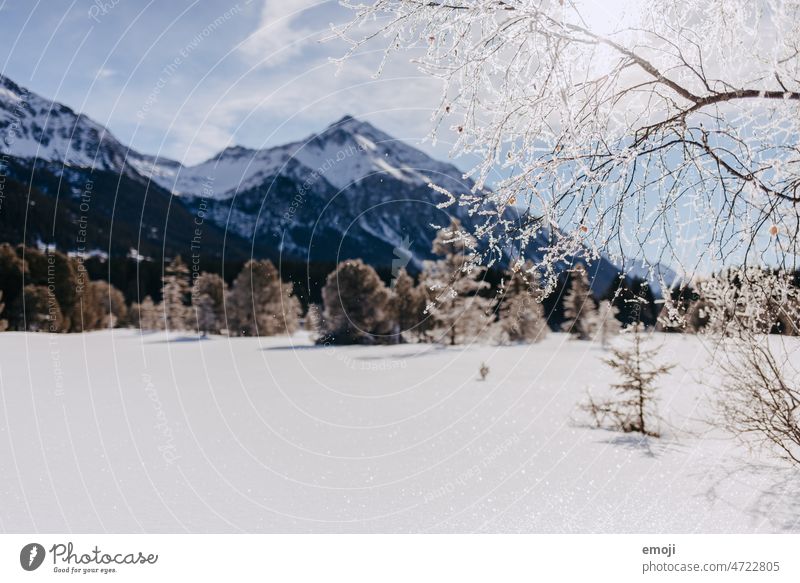 frozen lake Heidsee in Lenzerheide in winter heidsee Winter lenzerheide Snow Ice chill Blue sky Sky Beautiful weather Tourism Switzerland trees Frost sunny