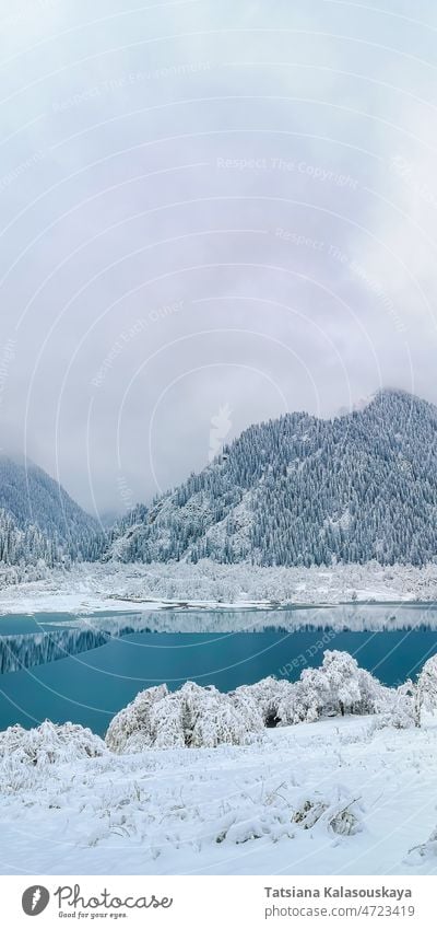 Turquoise lake among mountains, snow and clouds forest fog Ice Snow Issyk Kazakhstan Almaty Middle Asia north nobody no people no person environment cold frozen