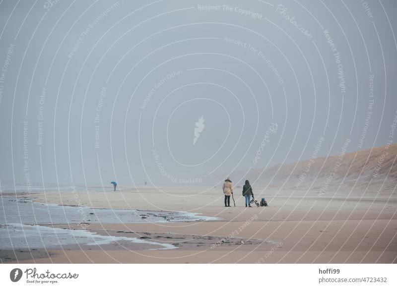 People on wide beach in stormy weather Surf Denmark Beach Walk on the beach Gale Drift Winter Clouds Gray minimalism Sand Ocean coast Waves Water Relaxation