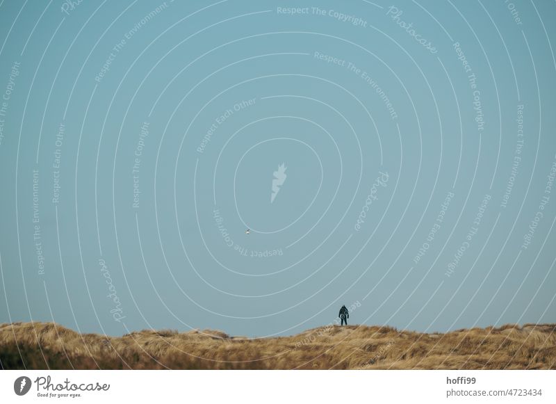 A man stands alone on a dune and looks into the distance Relaxation breathe deeply Denmark duene Marram grass Autumn Winter Blow Wind Human being Silhouette