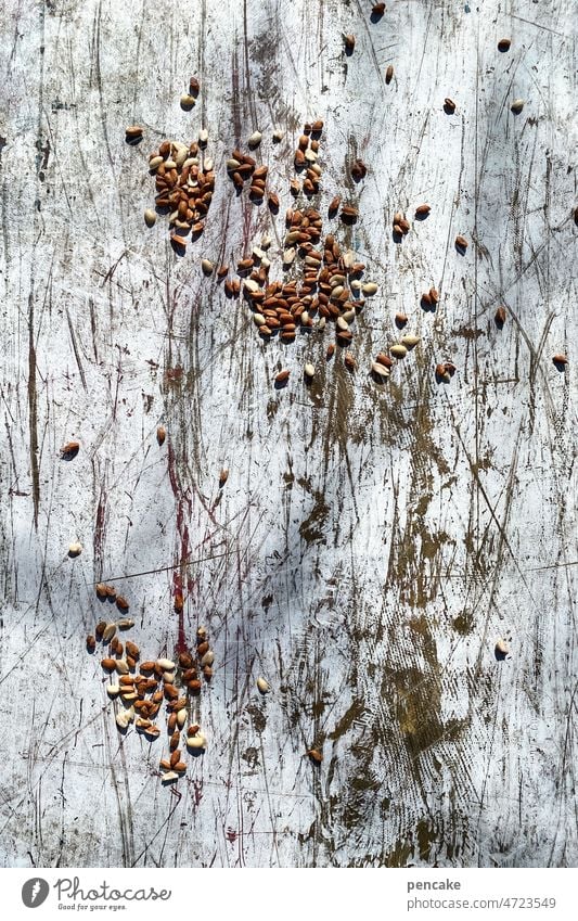 feathered fowl | fodder Birdseed grains Poultry Feed Wooden board Animal To feed Feeding Wild animal Garden Love of animals Exterior shot Scratch mark Weathered