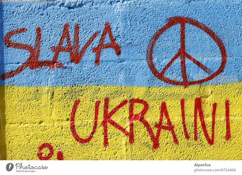 Peace I Ukraine Freedom Hope Russia Sign Politics and state Solidarity Peace Wish Symbols and metaphors Ukraine war War peace Humanity