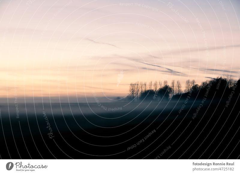 Landscape with ground fog at blue hour trees Fog Haze Twilight Sky evening sky Sunset sunset Steam Nature Deserted Dusk Light Exterior shot Clouds Environment