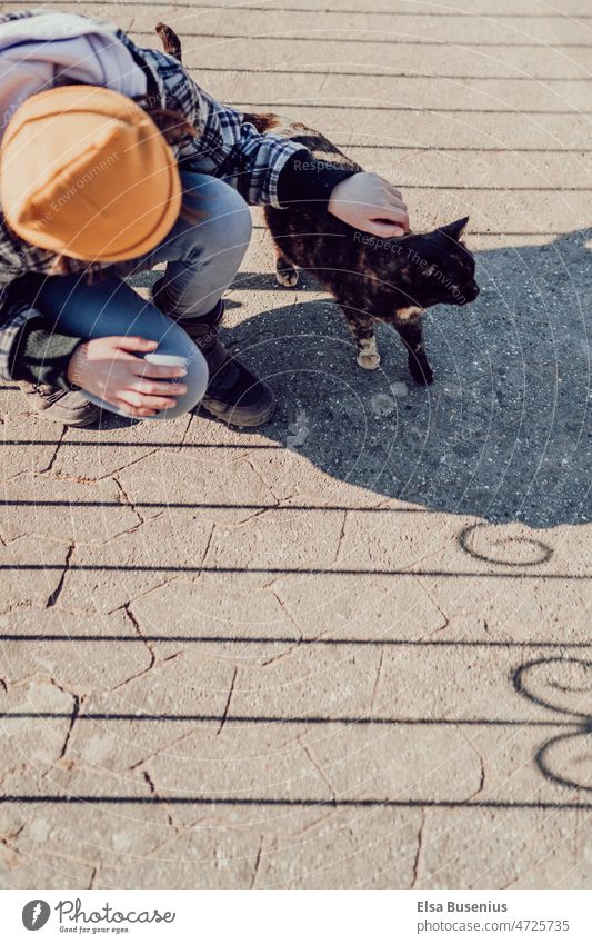 Sunny day we meet a street cat Cat Pelt Fluffy sunny Shadow Spring Autumn Fresh Cold Outdoors Garden One animal Front or backyard stroking Child Girl Cap Love