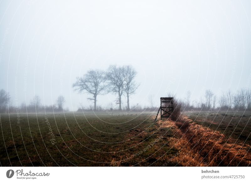 tristesse, mon amour Covered Dreary Hunting Blind Clouds Calm Environment Nature Cold chill Agriculture Lonely Loneliness acre Exterior shot Landscape Deserted