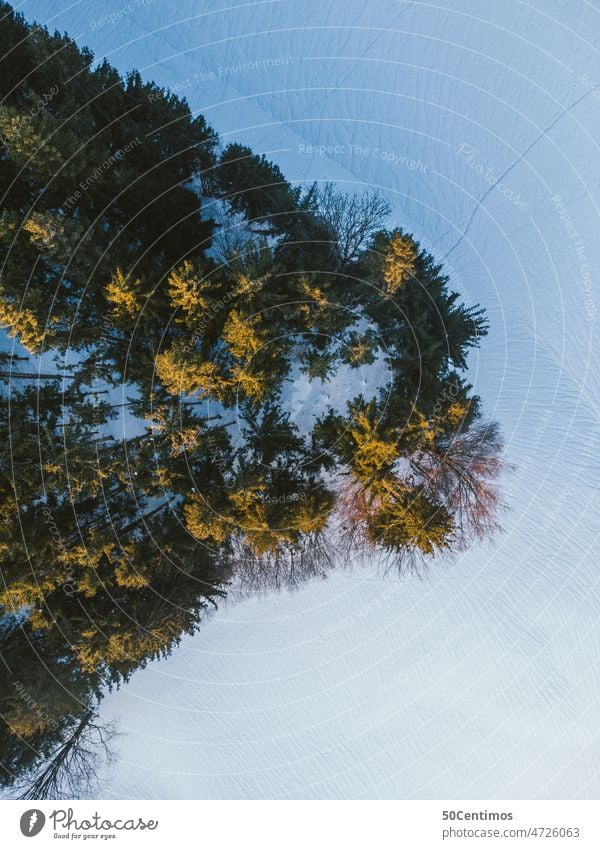 Winter forest from above - aerial view UAV view Aerial photograph Downward Exterior shot Colour photo Deserted Vacation & Travel Freedom Empty Trip Nature