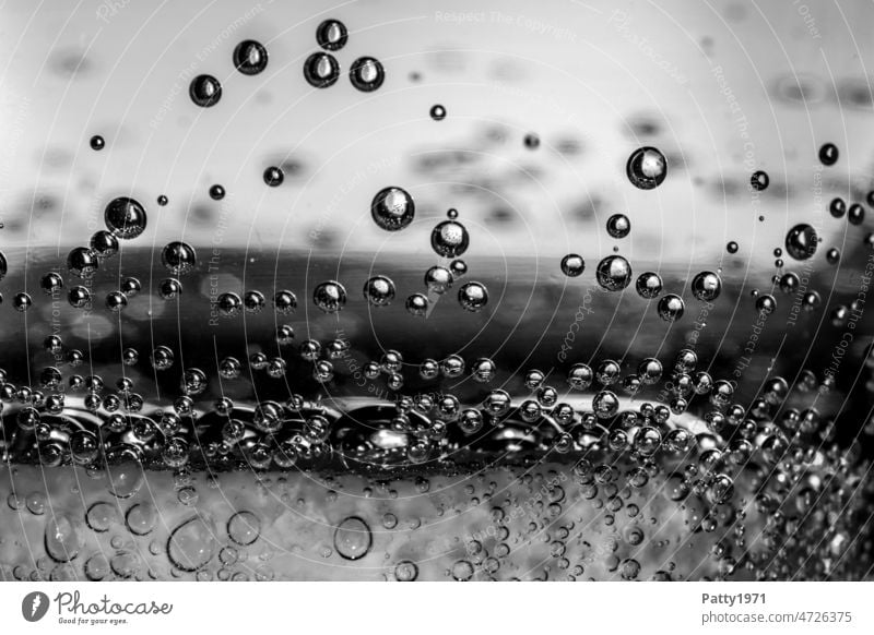 Air bubbles rise blow Water Close-up b/w B/W Black & white photo Macro (Extreme close-up) Calm Hover drift Round clear underwater