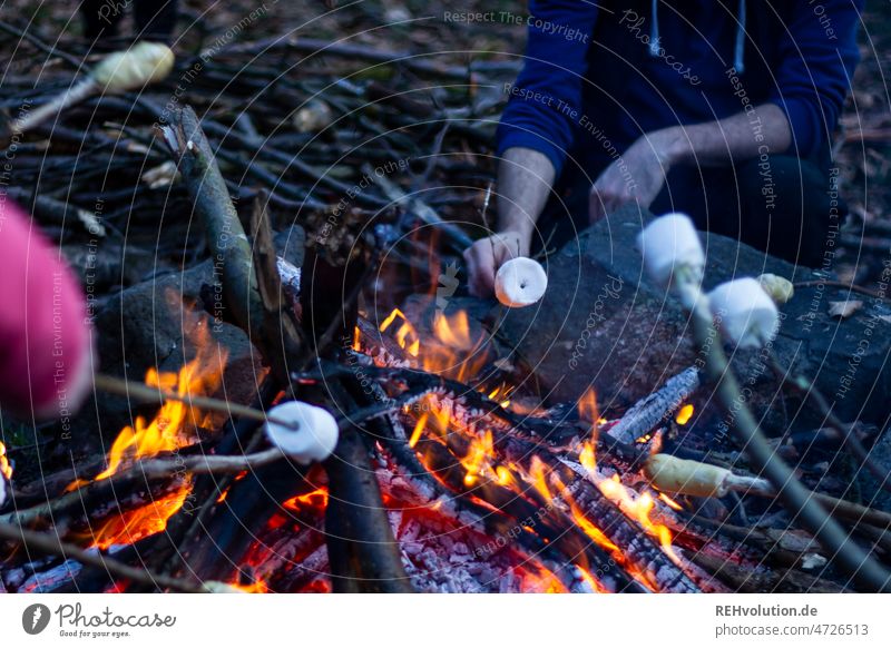 Campfire with marshmallows campfire Fire Adventure outdoor group Tent camp Scouts Fireplace Burn Hot Flame Colour photo Wood Nature Camp fire atmosphere Camping