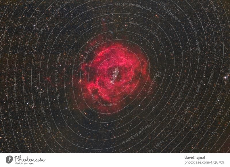 Rosette Nebula rosette nebula caldwell 49 night deep sky milky way stars constellation monoceros mannheim germany europe astronomy science infrared winter