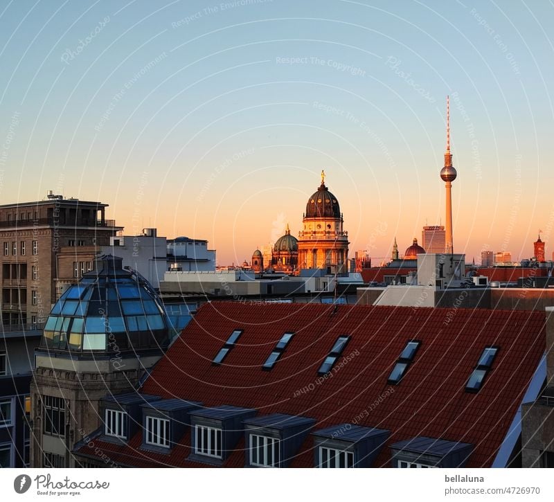 above the roofs of berlin Sunset Evening Sky Dusk Twilight Light Sunlight Exterior shot Deserted Beautiful weather Horizon Contrast Orange Colour photo Weather