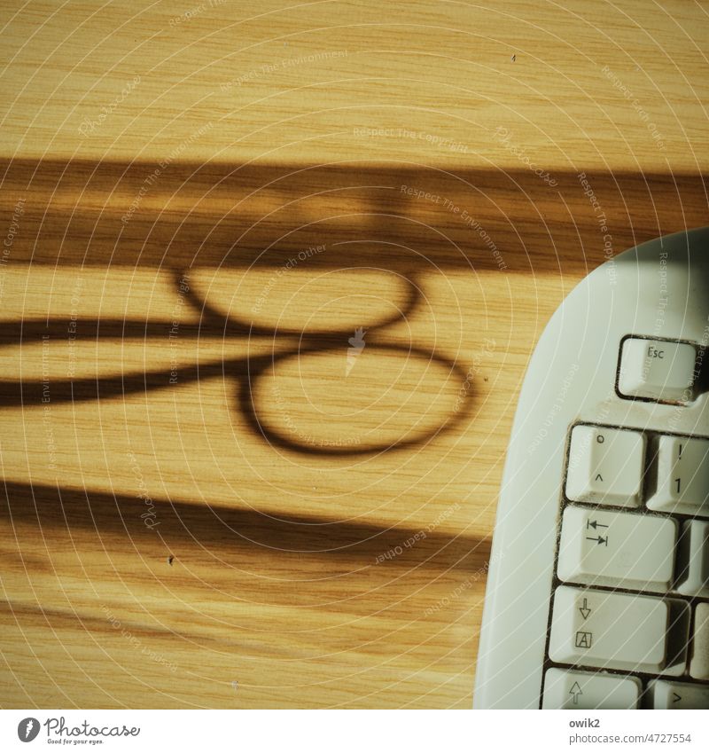 Tab Desk Detail Surface Workplace Office Things Arrangement Claw Shadow pens Stationery Office work Disciplined Tabletop Reflection shadow cast Shaft of light