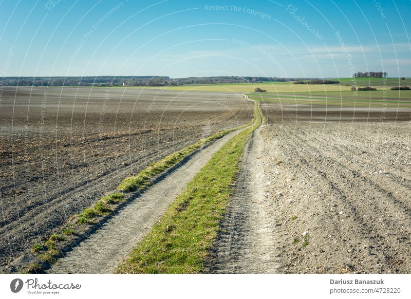 A long dirt road through a plowed field rural sky agriculture farm path country landscape farming horizon way scenery blue grass countryside view farmland green