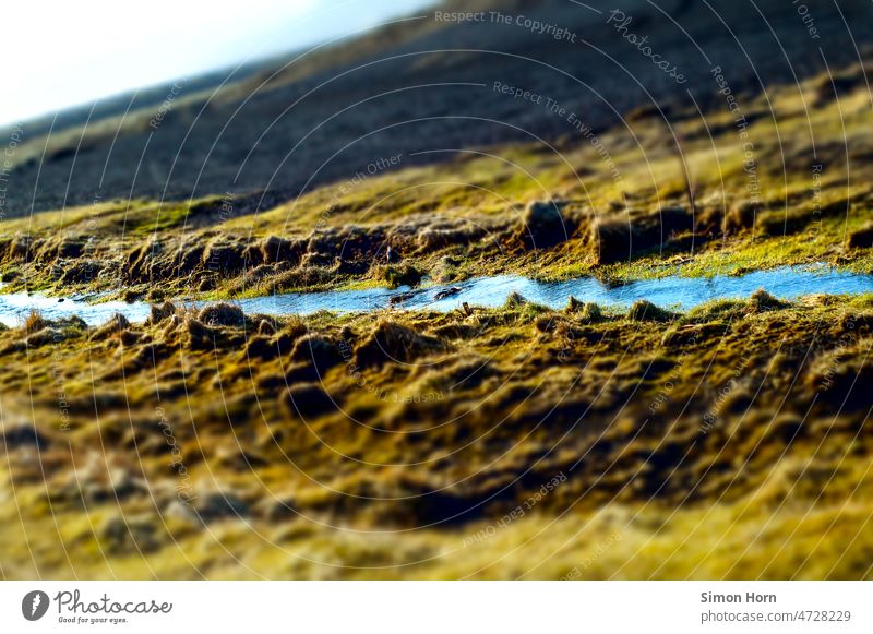 Stream in blurred landscape Brook Moss Landscape Lifeline Nature Environmental protection Water Relaxation Green focus idyllically Atmosphere Idyll hike Clarity