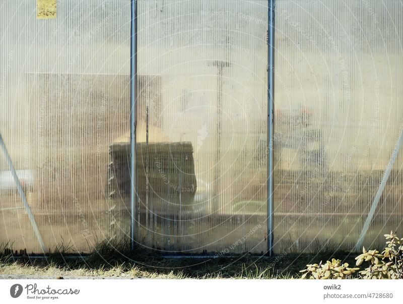 diffusion Greenhouse Detail Glass Glass panes Unclear riddle picture Sequence Row Shadow lines Old shine Structures and shapes Abstract Deserted Exterior shot