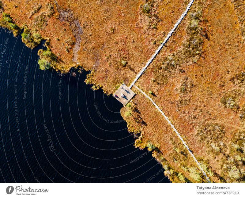 Wooden hiking trails in swamps bog forest autumn fall marsh aerial estonia nature landscape tree outdoor weather environment season travel lake drone view above