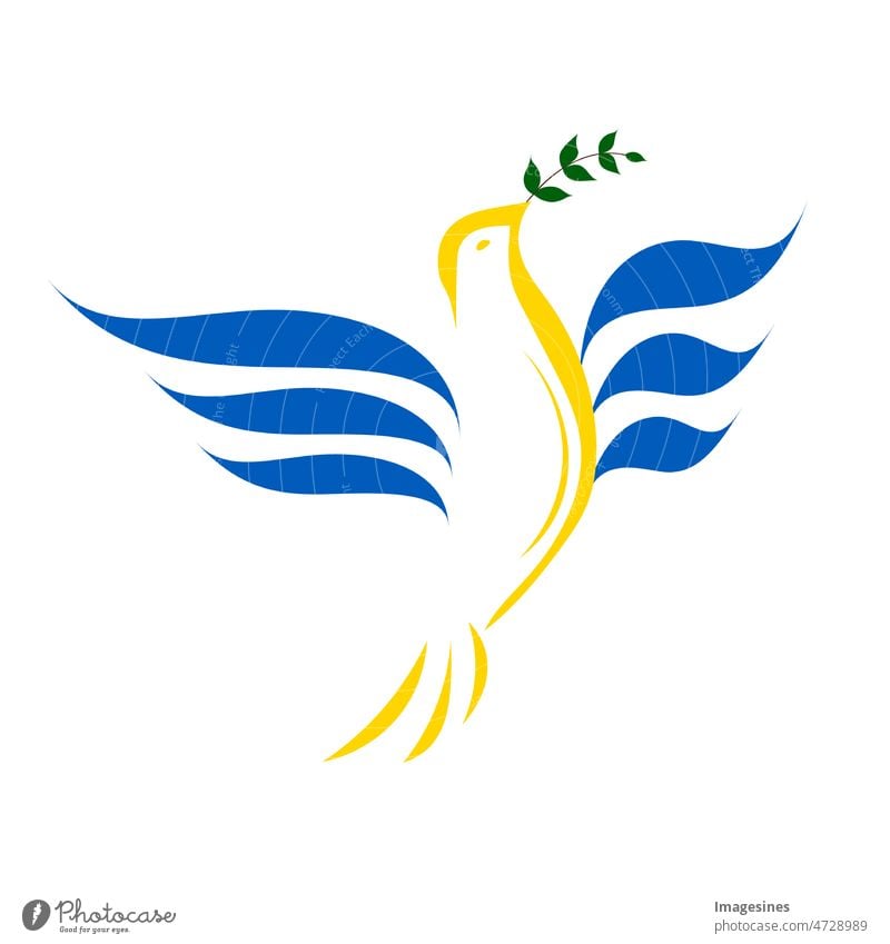 linear silhouette dove with an olive branch in the colors of the Ukrainian flag. Peace dove in the shape of the Ukrainian flag blue and yellow fighting for peace. Support Ukraine. Image