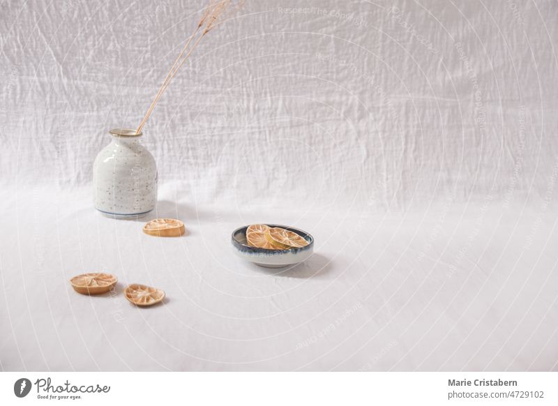 Dried lemon slices on a white delicate background showing the Spring and Summer aesthetics springtime aesthetic fresh dried lemon slices summer aesthetic