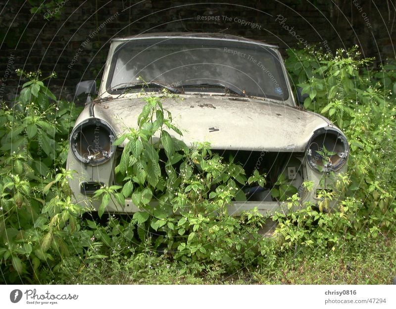 Nature strikes back Trabbi Sachsenring Transience trabbi nature Technology Old