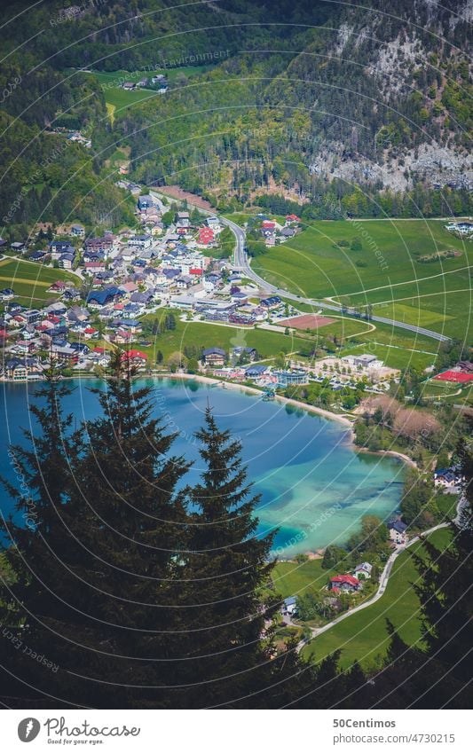 Fuschl on the lake Forest Exterior shot Nature Colour photo Day Green Contrast naturally Summer trees Hiking explore Relaxation Landscape Calm Tree Idyll