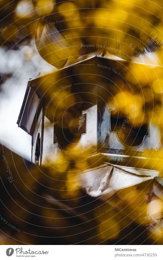 Hidden church Autumn Old town Sightseeing Trip City trip Salzburg Small Town Church Dome Tourist Attraction Landmark Colour photo Calm Exterior shot Deserted