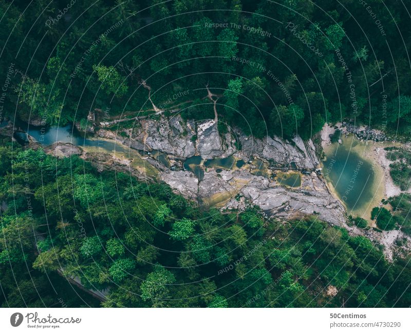 Rock bath in Faistenau Forest Lake Forest lake drone Exterior shot Nature Lakeside Surface of water Deserted Colour photo Landscape Water Environment Day Tree