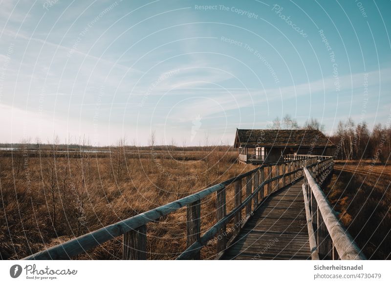 Footbridge over bog meadow Bridge Lanes & trails Wooden hut Bog Moorland Marsh Exterior shot Nature Deserted Common Reed reed Bushes Calm Nature reserve