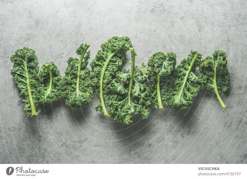 Green raw kale leaves in line on grey concrete kitchen table. Healthy seasonal winter vegetable green healthy cooking fresh ingredients modern food background