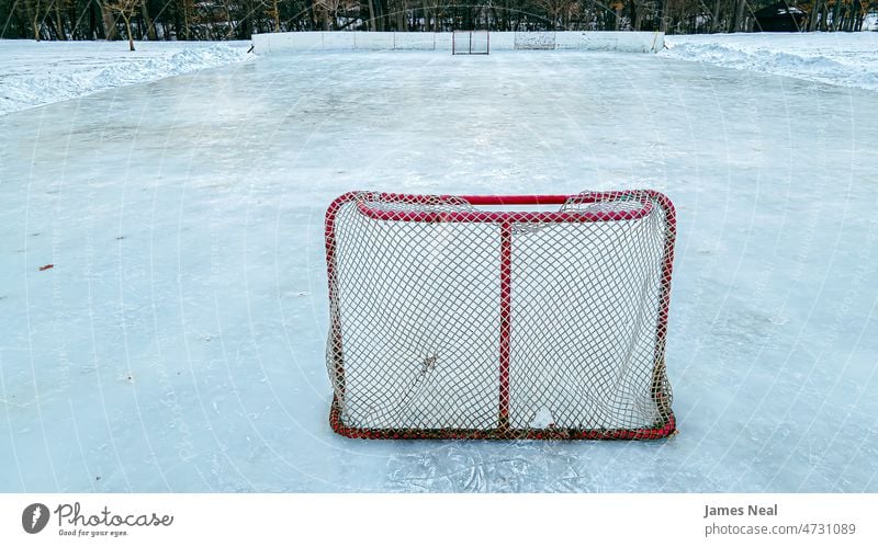 Red hockey net on outside ice rink treelined activity Ice Hockey frost day skating background snow trees seasonal united states wisconsin outdoors environment