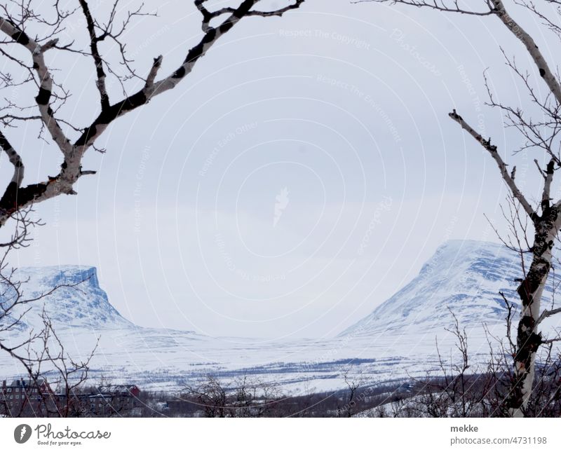 Lapporten in winter framed by birch trees Mountain Valley Forest path Winter Snowcapped peak Abyssinian National Park Swede Laporten Trough trough valley