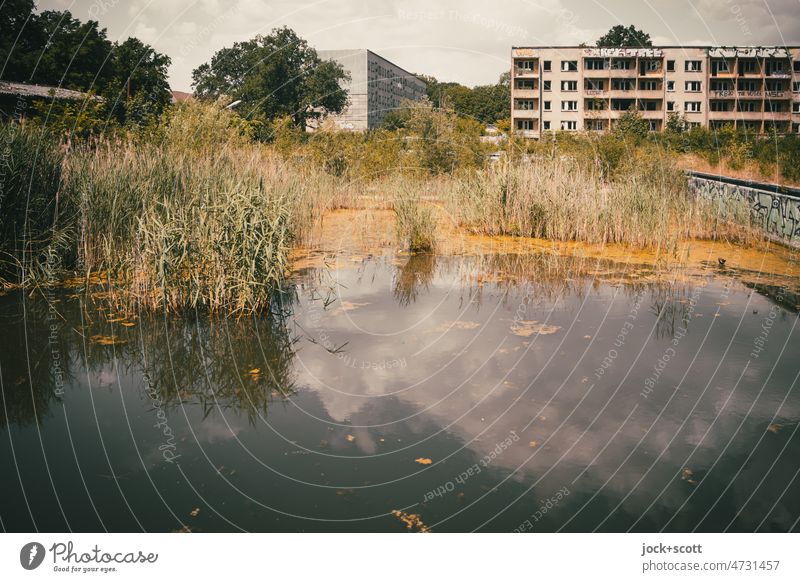 Lost Land Love | Swimming Pool Lost and Renaturation Won Swimming pool Water Nature GDR House (Residential Structure) lost places Ravages of time Change