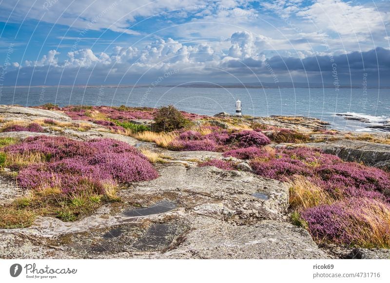 View of the island Käringön in Sweden Västra Götalands län Bohuslän archipelago Lighthouse Beacon archipelago garden Ocean coast North Sea Skagerrak Orust Water