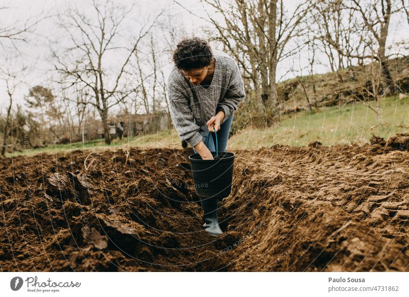 Woman sowing potatoes 30 - 45 years real people Feminine Human being Adults Colour photo 18 - 30 years Youth (Young adults) Young woman Exterior shot Sowing