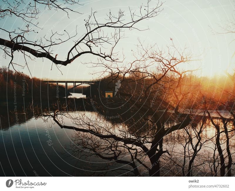 Late light Reservoir Autumn Colour photo Water Bridge Bridge construction Large Tall Deserted Landscape Nature Environment Cloudless sky Sun Horizon Bautzen