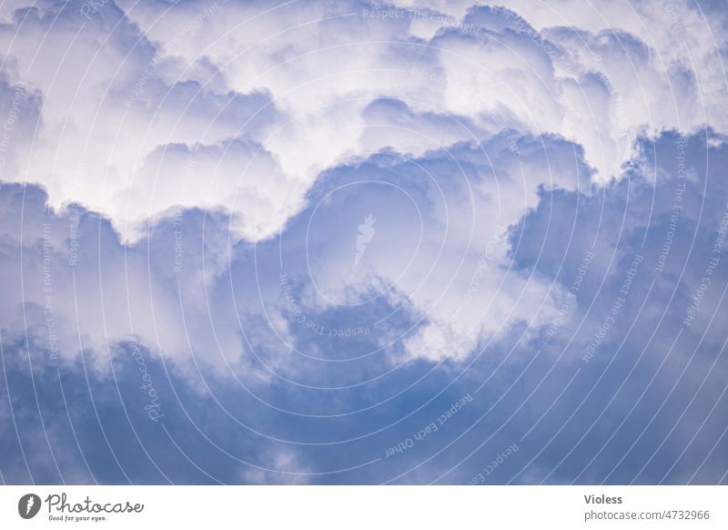 Sky - airy heights II Clouds Atmosphere Cirrus Cirrocumulus Cirrostratus Blue