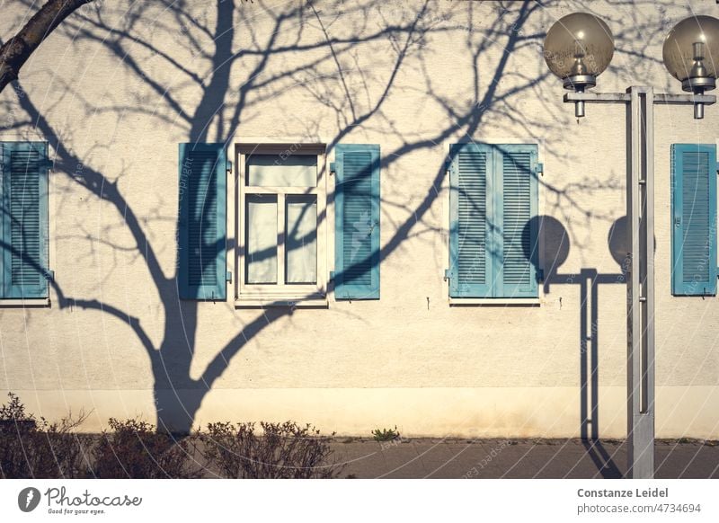 Shade of a tree in front of a house wall Shadow Tree Window House (Residential Structure) Deserted Facade Shutter Wood shutters photos Wall (building)