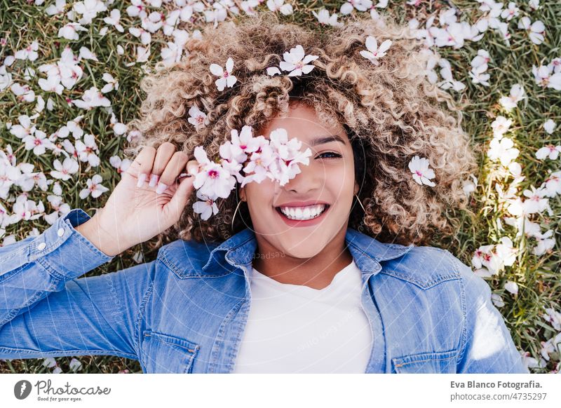 top view of happy hispanic woman with afro hair lying on grass among pink blossom flowers.Springtime dancing curvy body positivity park spring size portrait