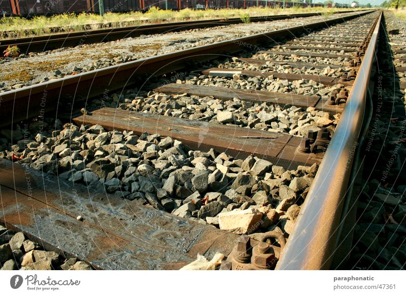 Long Way Home Railroad tracks Far-off places Old Style Wood Wooden board Pebble Stone Grass Meadow Bushes Extensive Vacation & Travel Depart Exterior shot db