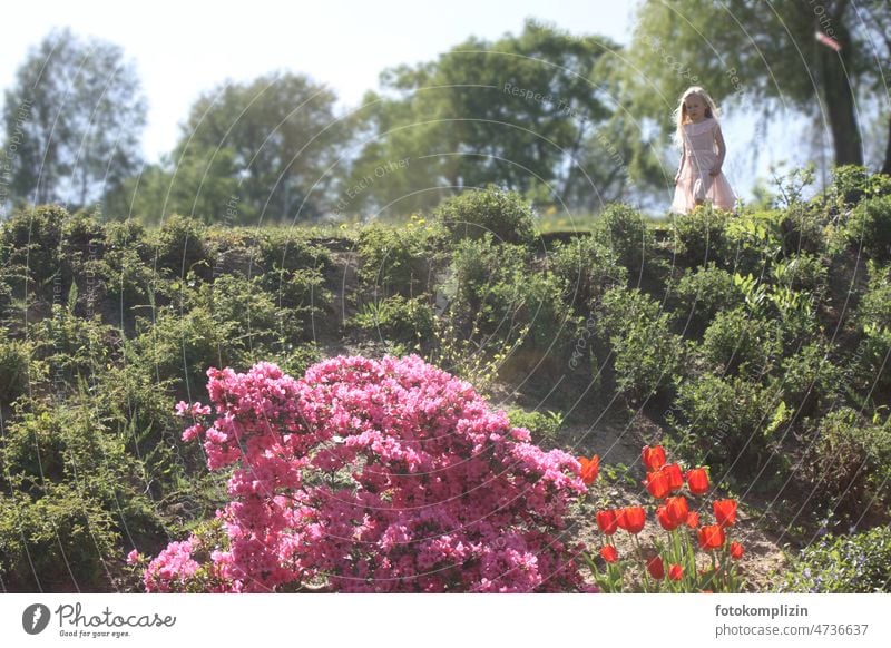 Girl in garden park Child romantic Spring Spring fever Dreamily dream Bougainvillea Infancy Summer Flower Nature Exterior shot Happy Summery Season Pink Blossom