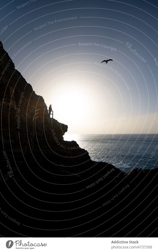 Silhouette of traveler admiring ocean from rocky shore tourist cliff steep admire bird slope observe freedom blue sky endless rough seacoast shoreline formation