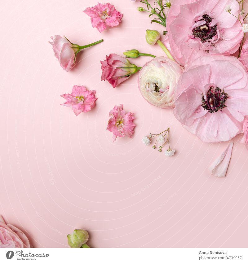 Floral arrangments of tender ranunculus flowers bouquet trendy bunch buttercup bunch of flowers bloom wallpaper card postcard flat lay bunch of ranunculus