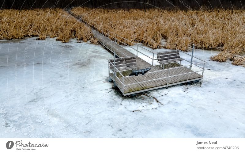 Looking from this bridge signs of spring shows autumn color peaceful nature water ecology meadow lake background snow trees dock scenic footbridge environment